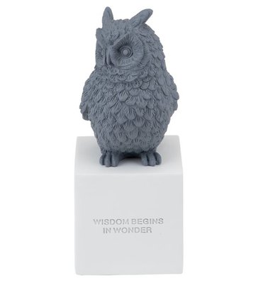 Статуетка "Owl" 25 см, Сірий, Полістоун 6204745 Китай 6204745 фото