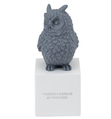 Статуетка "Owl" 30 см, сіра Сірий, Полістоун 6204744 Китай 6204744 фото