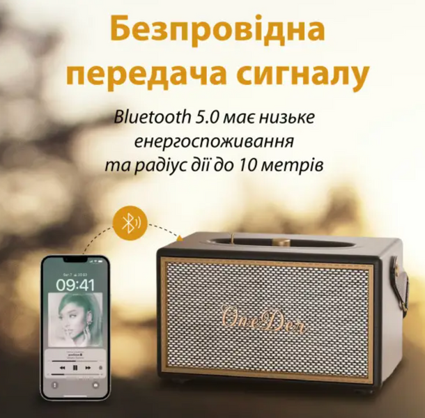 Портативная колонка OneDer D6 BT/TF/USB/AUX 40 Вт, коричневая D6BR фото
