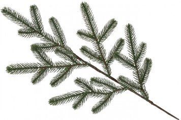 6202698 фото