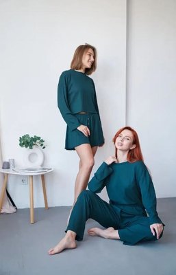 Комплект тройка: кофта, шорты и брюки L-XL Зеленый Турецкий рубчик 6205394 Украина 6205394 фото